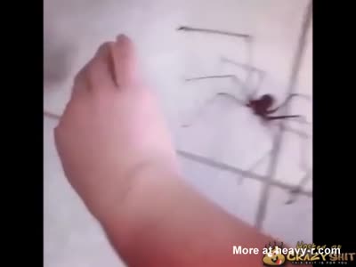 Insect In Vegina Porn - Showing Porn Images for Spider puss puss porn | www.xxxery.com