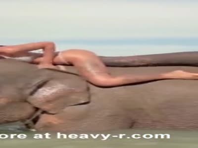 Elephant Girl Xxx Hand - Elephant Vagina Videos - Free Porn Videos