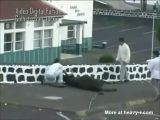 Girl Commits Suicide Jumping Off Building Videos - Free Porn Videos