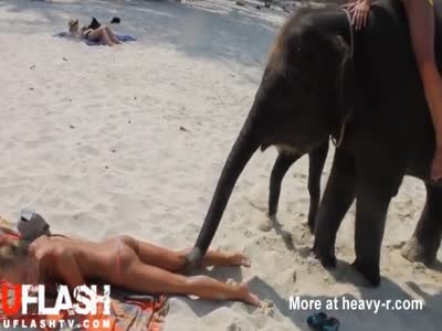 Elephant Fucks Girl - Topless Teen Molested by Elephant