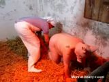 Pig Play Porn