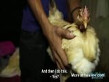 160px x 120px - Man Fuck Female Chicken Videos - Free Porn Videos